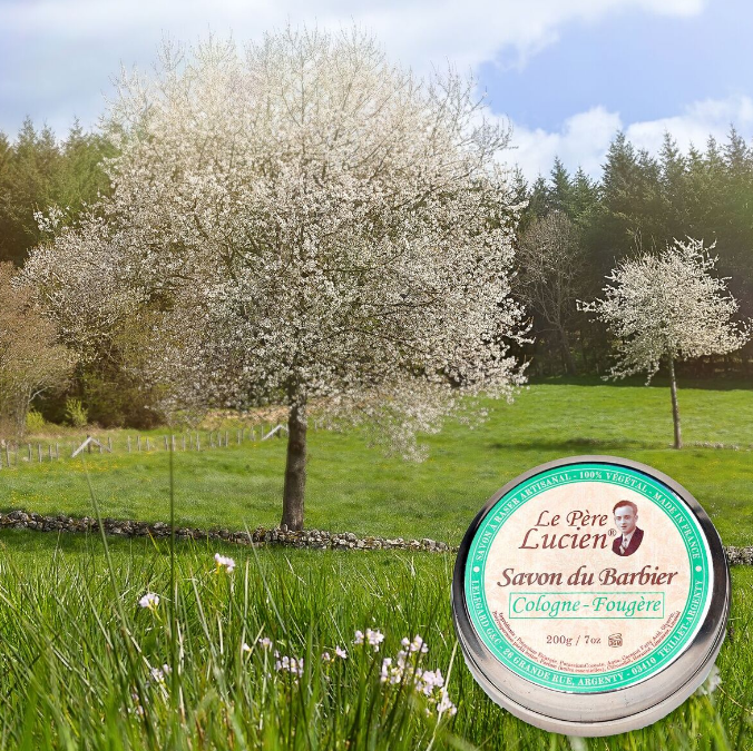 COLOGNE FOUGERE 200g Shaving Soap essential oils Shea Le Père Lucien FRANCE