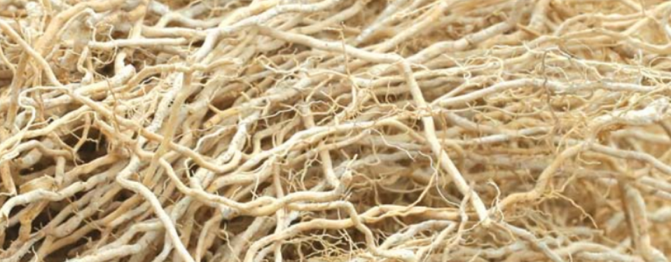 VETIVER Sabonete de Barbear Premium Le Père Lucien FRANÇA 150g VEGANO Manteiga de Karité