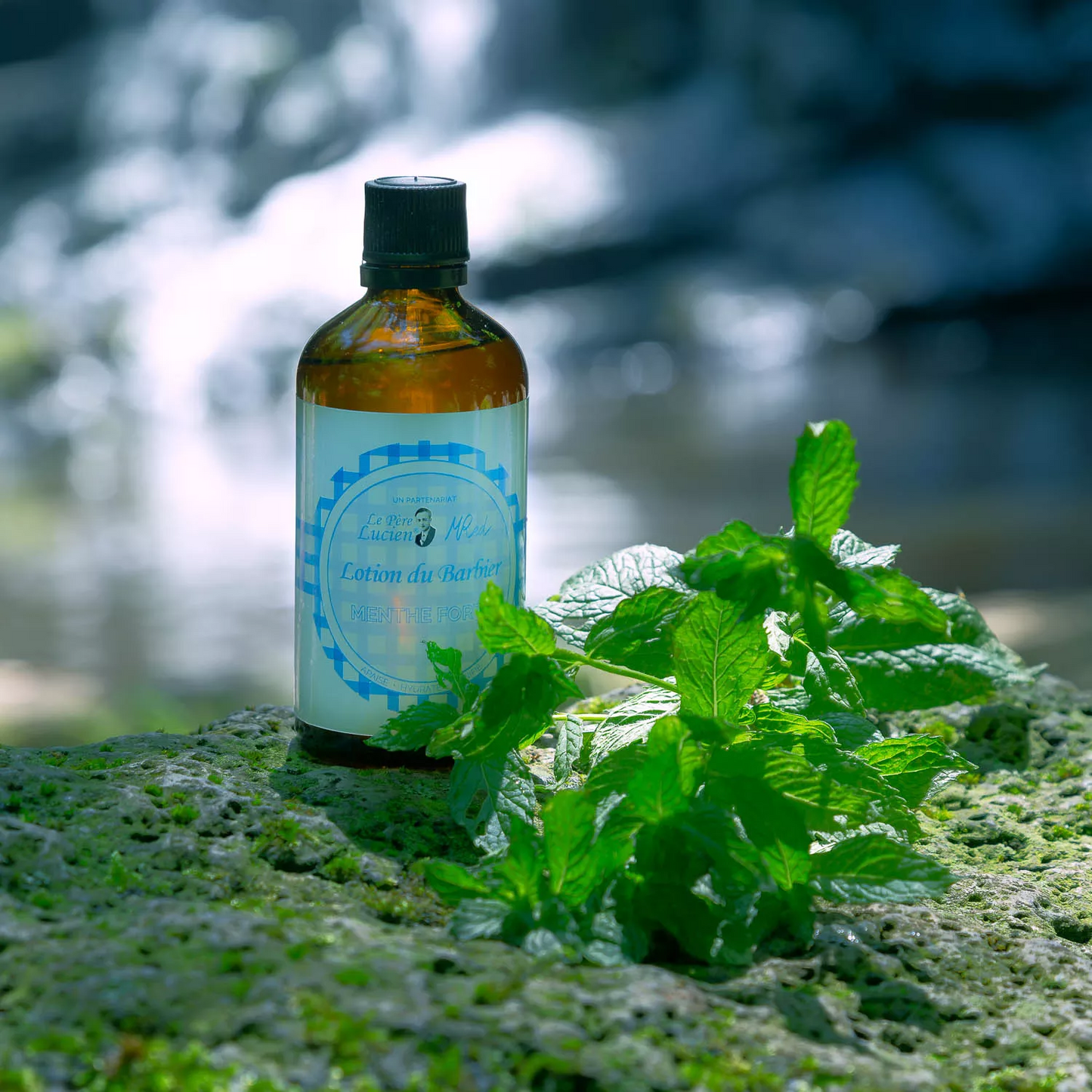 Лосьйон після гоління MENTHE FORTE Le Père Lucien FRANCE МЕНТОЛЬ & М'ЯТА доглядовий свіжий